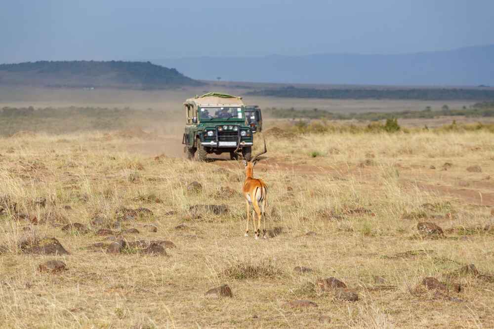 Kenyan Safari –A Tetreat Into The Lap Of Nature, A Quest For The Eternal Bliss!